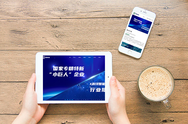 無錫網(wǎng)站建設 無錫網(wǎng)站建設